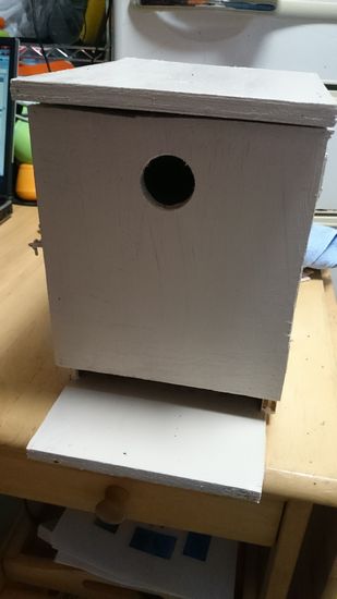 巣箱完成！