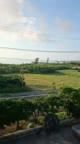 屋上からの眺め