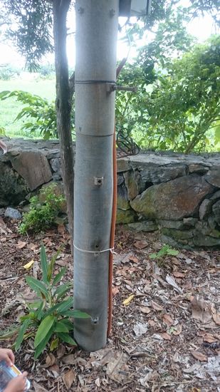 この中にいるそうです