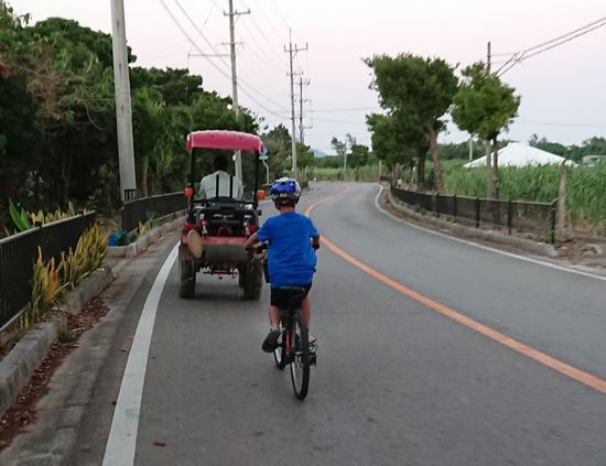 トラクターと競争です