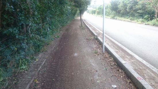 草刈り部隊、通過後