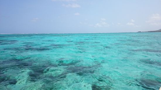 今日も海の色は、絶好調です