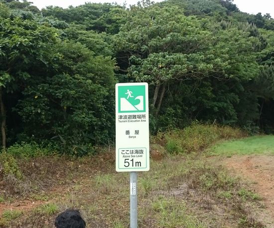 避難場所は、51mの高さです