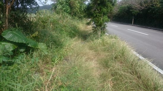 草刈り部隊、通過前