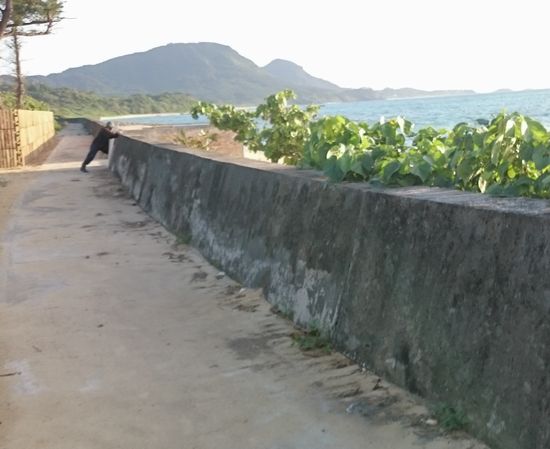 堤防沿いを歩いていると