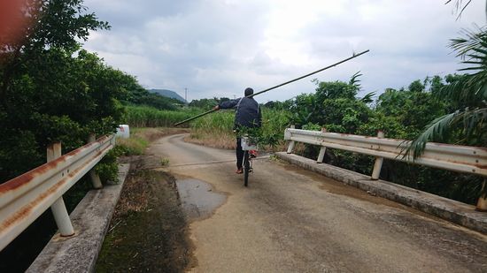 まるでサーカスですね