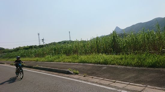 マーペを眺めながら