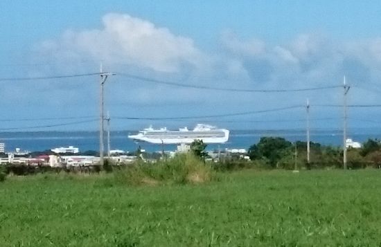 大きなクルーズ船です