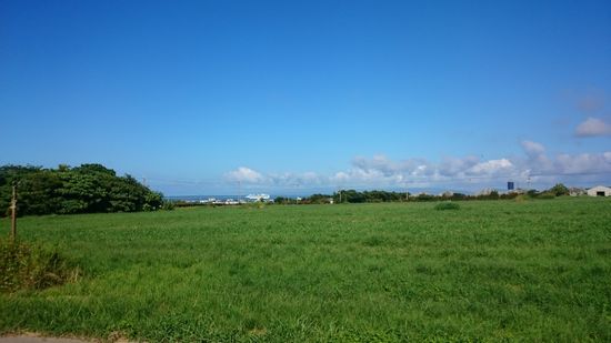 牧草地の向こうに海に竹富島を見ることができます。