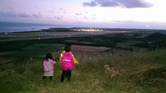 空港を眺めて帰ってきました