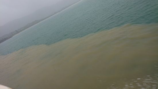 赤土との境界線