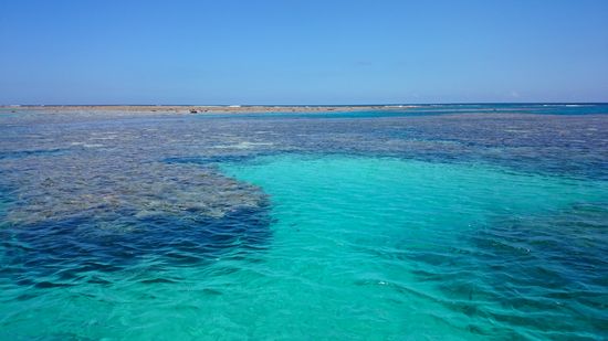 おだやかな晴れた干潮時間です