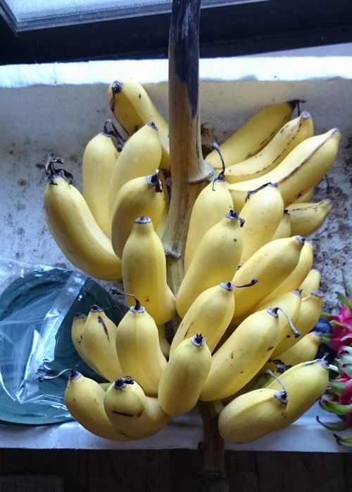 バナナ。