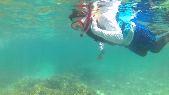 レベルアップで自由自在に泳ぎます♪