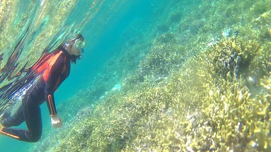 初めてのシュノーケルのU田さん余裕の泳ぎです