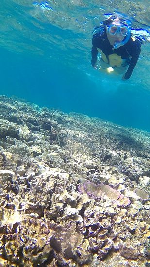 のんびりまったり派のS藤さんです。