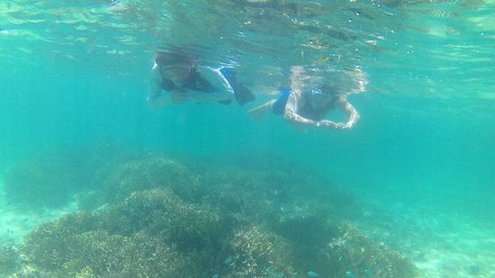 すぐにすいすい泳ぎ始めていきます。