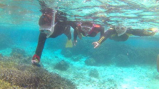 三人そろって、泳ぎ初めていきます