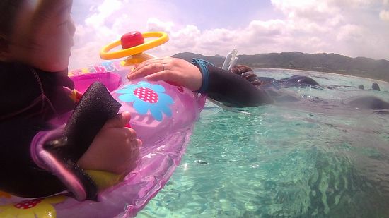 涙ポロリのエマちゃんです