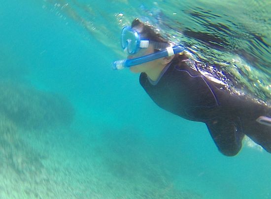 おっ！レン君、上手な泳ぎです