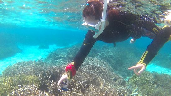 レンタルカメラで撮影!