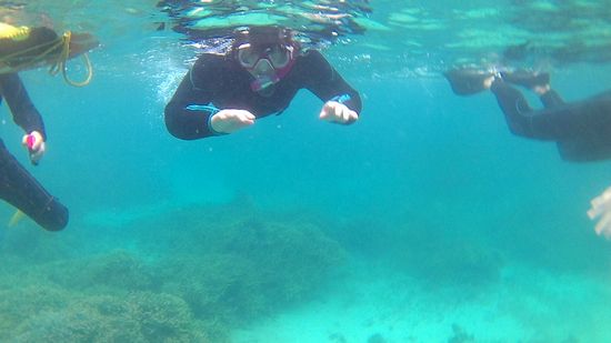 おばあちゃん、独り立ちの瞬間ですね