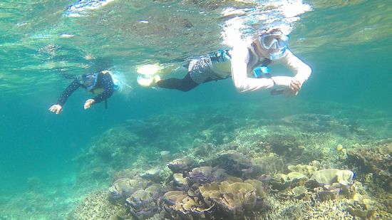 お二人とも余裕の泳ぎです。