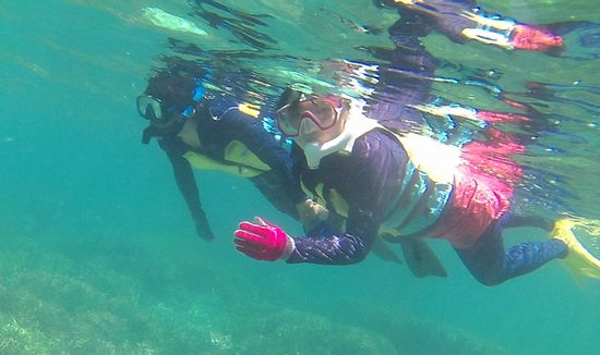 慣れた泳ぎですーいすいです