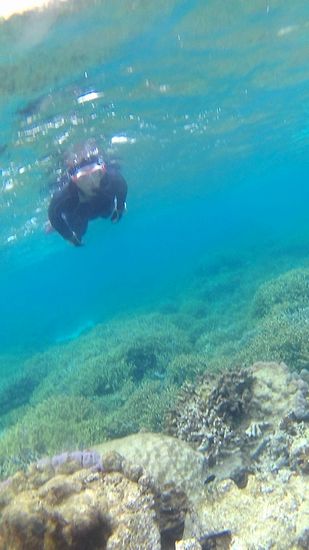 シュノーケル合宿最終日のM井さん