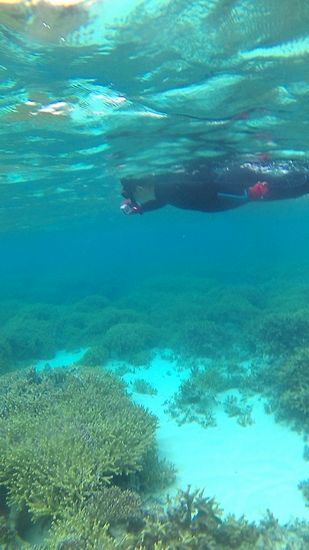 サンゴに舌鼓の旦那さん