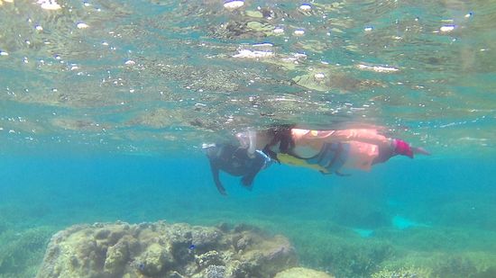 ゆっくり泳いでじっくり観察派ですね