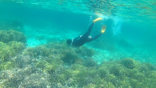 N川さんは素潜りです