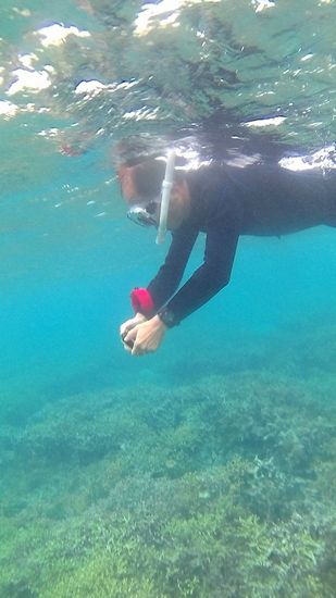 レンタルカメラで撮影です