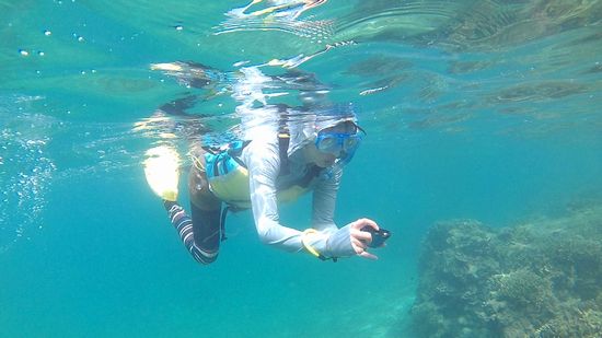 奥さんは水中カメラで撮影に没頭です。
