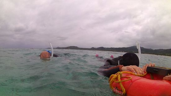 まずは入水チェックです。