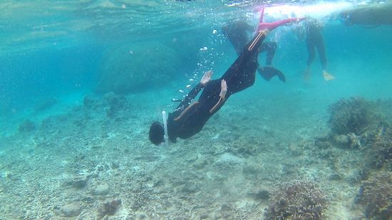 慣れてくると皆さん素潜り練習です