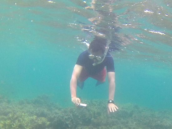 クマノミマンションを撮影するY田旦那さん