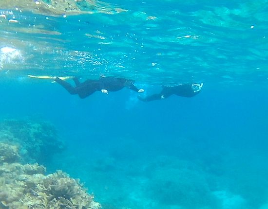 O澤さん親子は、ゆったりペースです