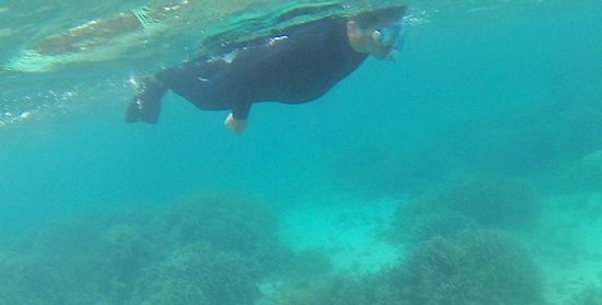 がんがんおよぎまわるお父さんです