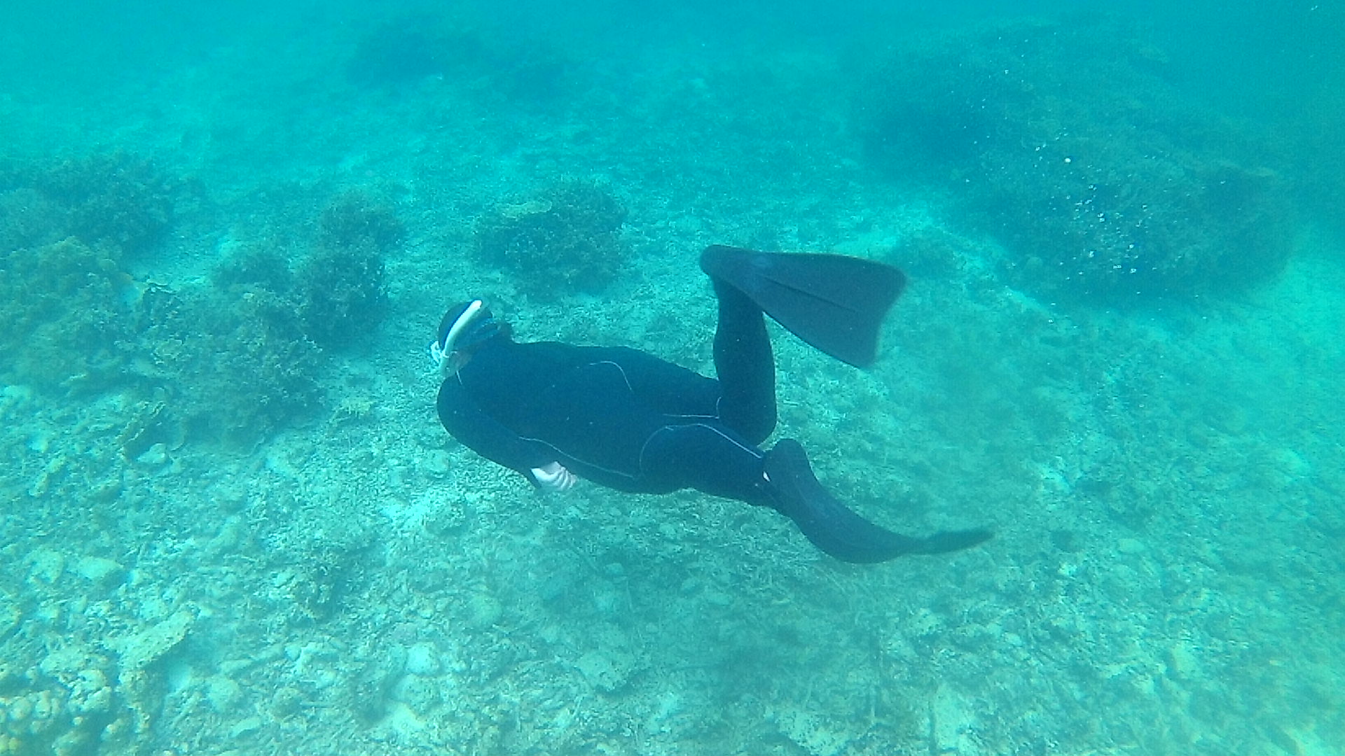 新しい世界の幕開けです。