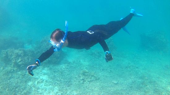 旦那さんは素潜りドボンです