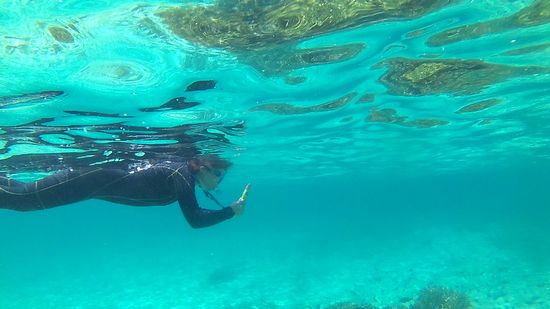 防水ケースに入れた水中カメラで撮影です