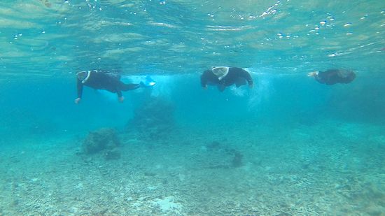 まずは浅場を楽しみます