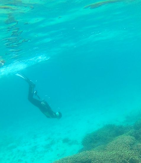 おおっ！潜っちゃいましたね