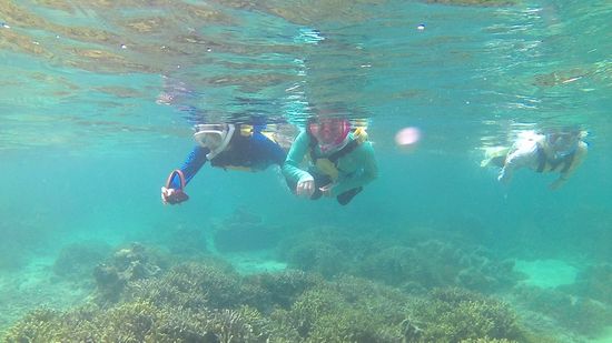 エントリーとともに、すーいすいの皆さんです。