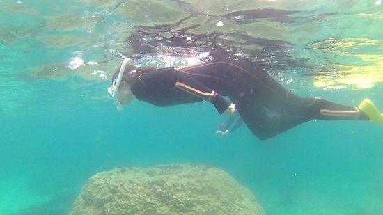 奥さんもすいすい泳ぎ回っています。