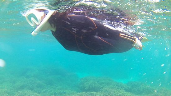 のんびりまったり派のT窪さん