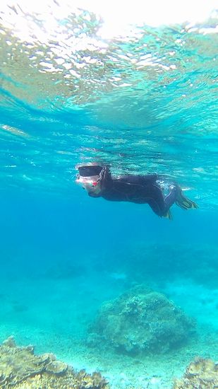 リピーターM井さんです