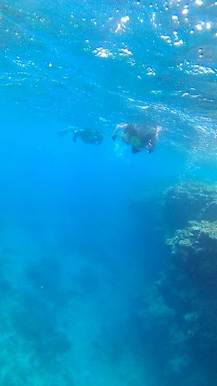 深場ポイントも楽しんでいます。