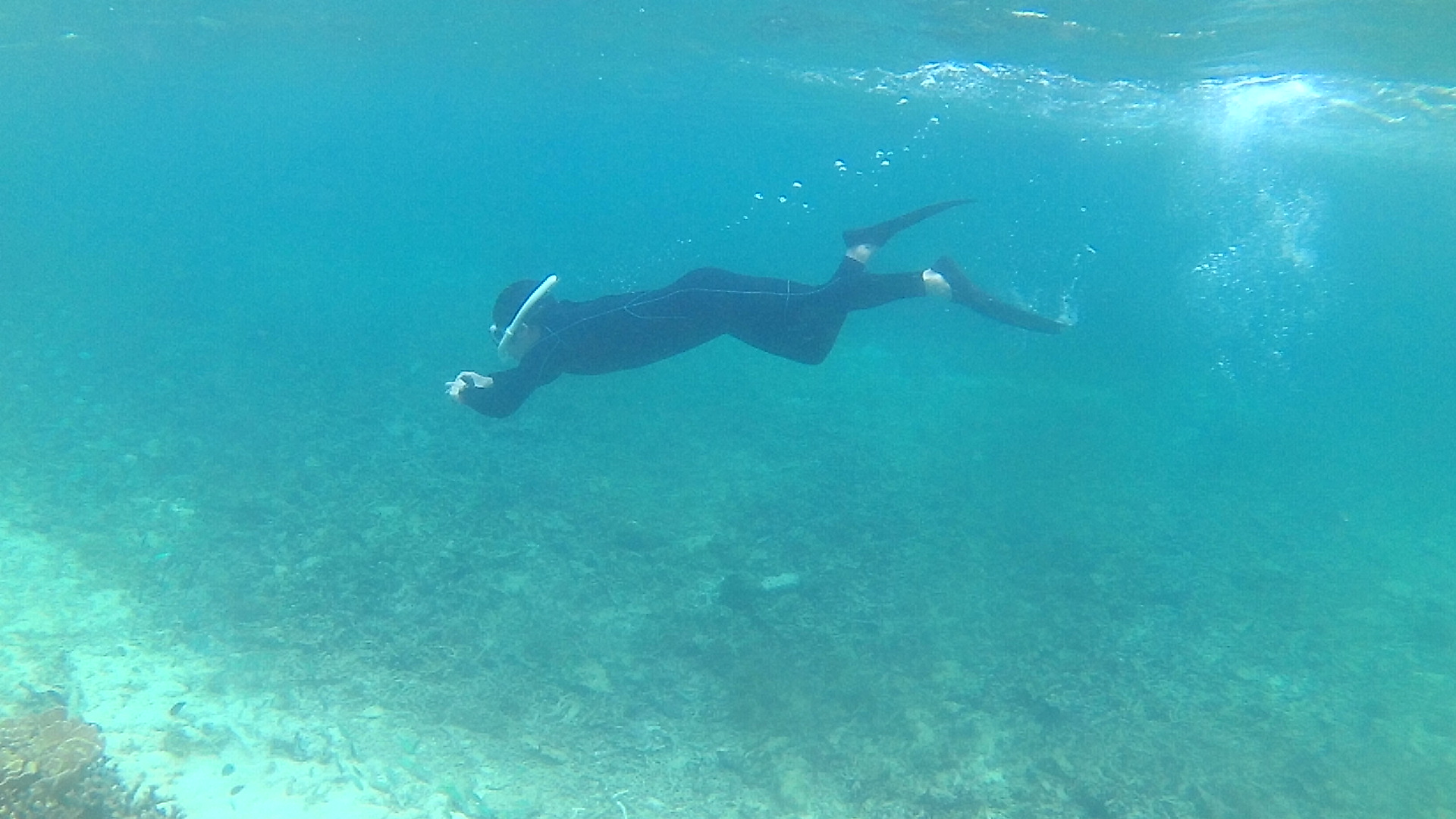 おっ!ガツンと潜っているS藤さんです。